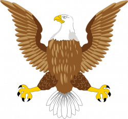 Bald Eagle PNG Transparent Free Images | PNG Only
