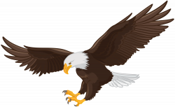 American Eagle Clipart Png - Alternative Clipart Design •