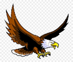 Download Flying Eagle Clip Art Clipart Bald Eagle Clip ...