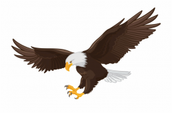 Bald Eagle Clip Art - Bald Eagle Flying Clipart, Transparent ...