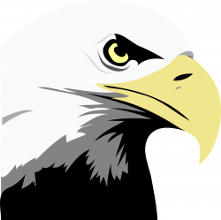 Eagle Eyes Face Bald America PNG Image - Picpng