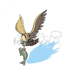 Eagle in flight with fish in talons clipart. Royalty-free clipart # 130368