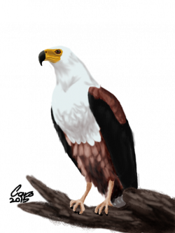 28+ Collection of Fish Eagle Drawing | High quality, free cliparts ...