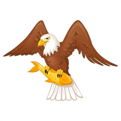 Fish eagle clipart 2 » Clipart Portal