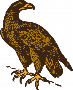 Clipart - golden eagle