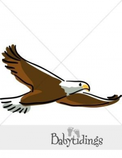 Soaring Eagle Clip Art Free | eagles | Clip art, Art, Eagle