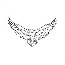 Animal Bird Eagle Graphics SVG Dxf EPS Png Cdr Ai Pdf Vector ...