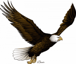 Free Eagle Images Free, Download Free Clip Art, Free Clip ...