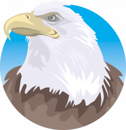 Free Eagle Clipart