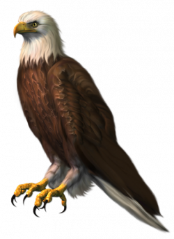 Free Eagle Cliparts Background, Download Free Clip Art, Free ...