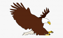 Bald Eagle Clipart Colored - Transparent Background Eagle ...