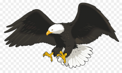 Free Eagle With Transparent Background, Download Free Clip ...
