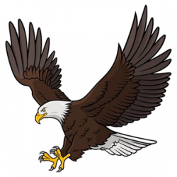 Eagle Clipart PNG Transparent - AZPng
