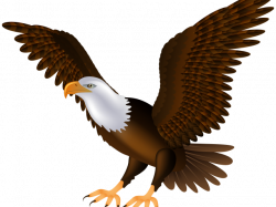 19 Eagle clipart HUGE FREEBIE! Download for PowerPoint presentations ...