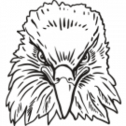 Eagle | Free Images at Clker.com - vector clip art online, royalty ...
