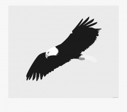 Soaring Eagle Animal Free Black White Clipart Images - Bald ...