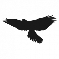 Eagle silhouette - Transparent PNG & SVG vector