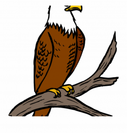 Free Eagle Clipart Eagle Feather Clipart - Eagle Clipart ...