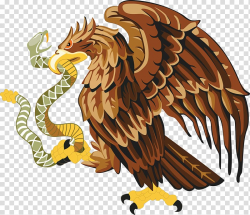 Hawk eating snake artwork, Mexico Snake Bald Eagle , eagle ...