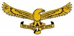 File:South African Air Force emblem.svg - Wikimedia Commons