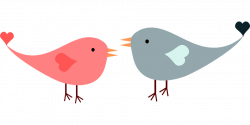 Do Birds Mate for Life? – Ornithology