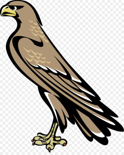 Eagle Bird clipart - Bird, Wing, Feather, transparent clip art