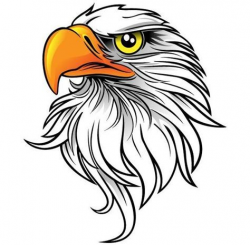 44 Images Of Eagle Mascot Clipart You Can Use These Free ...