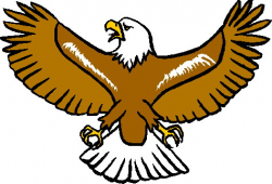 Bald eagle eagles clip art 2 - Clipartix
