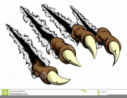 Eagle Claw Clipart | Free Images at Clker.com - vector clip ...