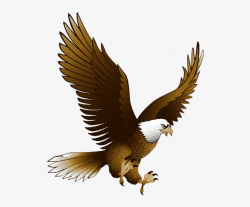 Clip Art Royalty Free Library Baby Eagle Clipart - Eagle Png ...