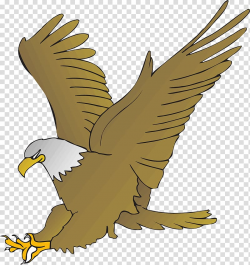 Bald Eagle Cartoon Drawing , eagle transparent background ...