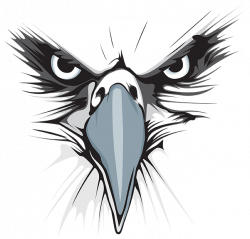 lakes eagles png logo | Desenho técnico | Pinterest | Logos, Eagle ...