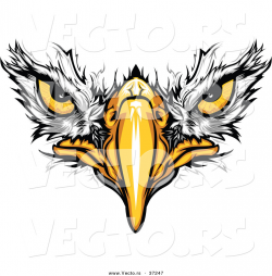Free Football Eagle Cliparts, Download Free Clip Art, Free ...
