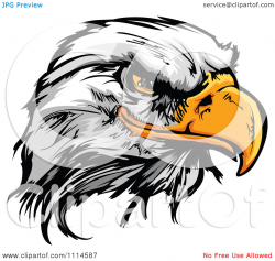 Clipart Fierce Bald Eagle | Clipart Panda - Free Clipart Images