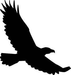 Kite Bird Clipart | Free download best Kite Bird Clipart on ...