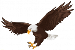 Eagle graphics - crazywidow.info