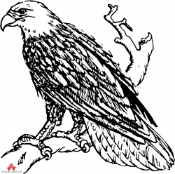 Free Cliparts Eagle Drawing, Download Free Clip Art, Free ...