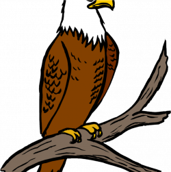 Free Eagle Clipart Eagle Feather Clipart At Getdrawings ...