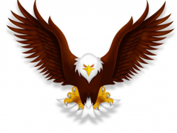 Free White Tailed Eagle Clipart, Download Free Clip Art on ...