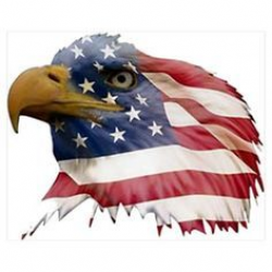 patriotic bald eagle clipart - ClipartFest | USA | American ...