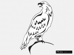 Perched Eagle Outline Clip art, Icon and SVG - SVG Clipart