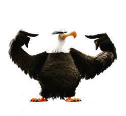 White Tailed Eagle Clipart angry - Free Clipart on Dumielauxepices.net