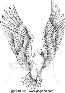 Vector Art - Sketch illustration of a soaring eagle. EPS ...