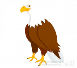 Eagle Clipart PNG Transparent - AZPng