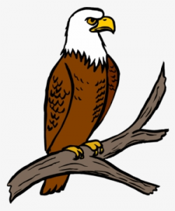 Eagle Clipart PNG, Transparent Eagle Clipart PNG Image Free ...