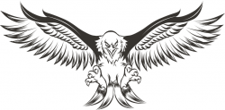Bird Line Drawing clipart - Drawing, Eagle, Illustration ...