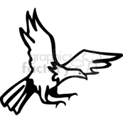 Black and white bald eagle swooping down, hunting clipart. Royalty-free  clipart # 130395