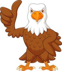 Cartoon funny eagle giving thumb up - image | Adobe Stock ...