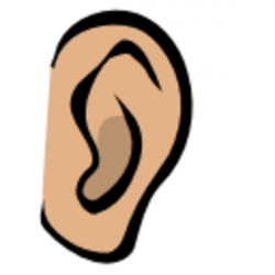 Ear | Free Images at Clker.com - vector clip art online, royalty ...