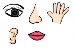 Eyes And Mouth Clipart | Free download best Eyes And Mouth ...